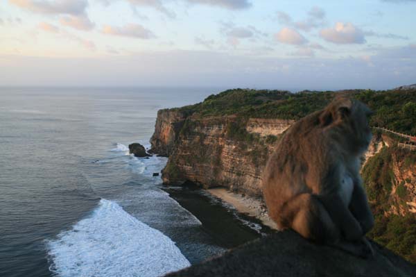 Blick von Uluwatu